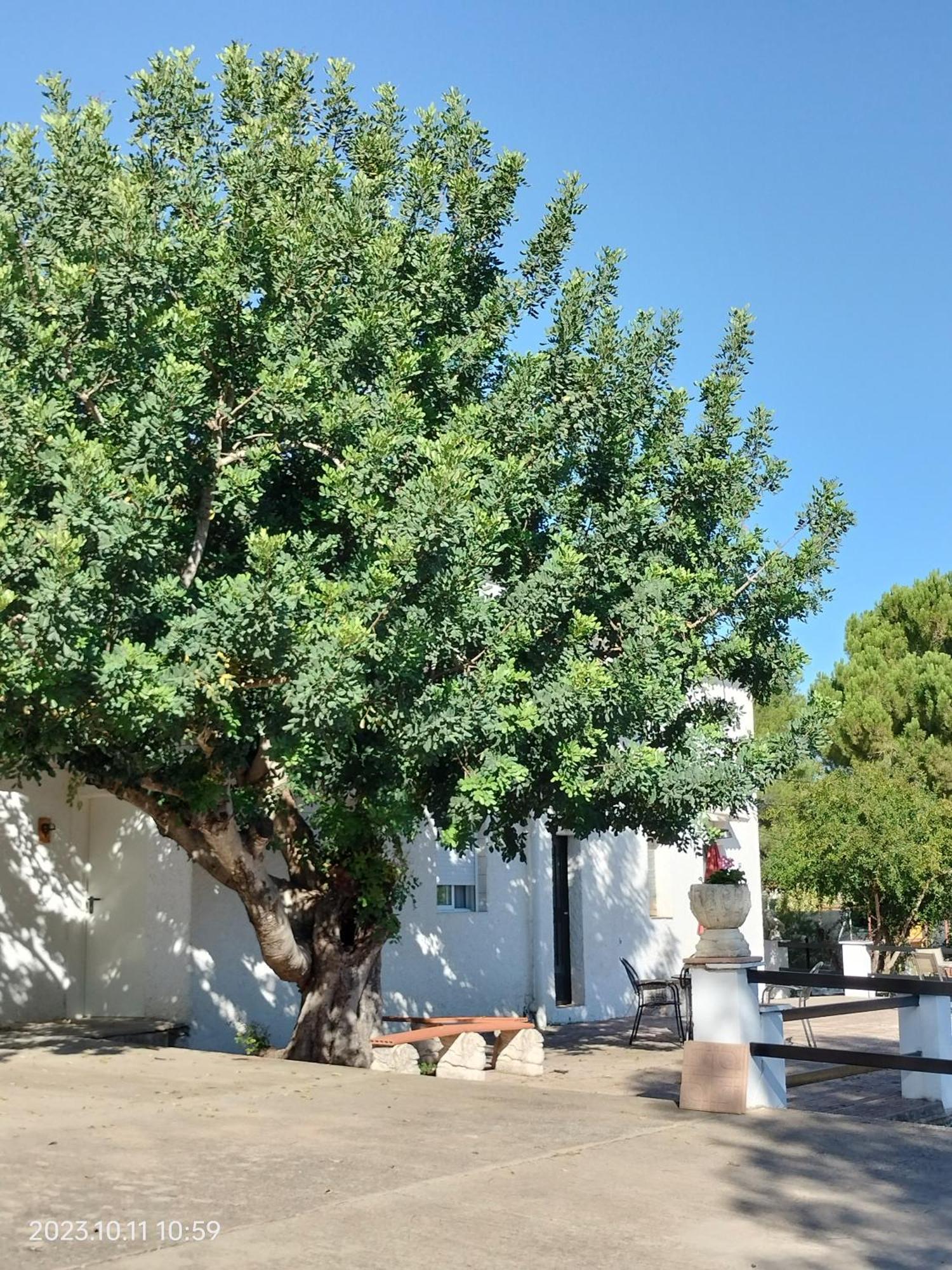 Godelleta Casa Mas Montanas B&B 외부 사진